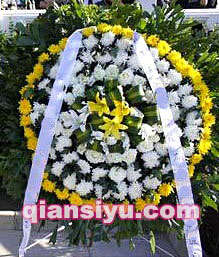 ѨȦ